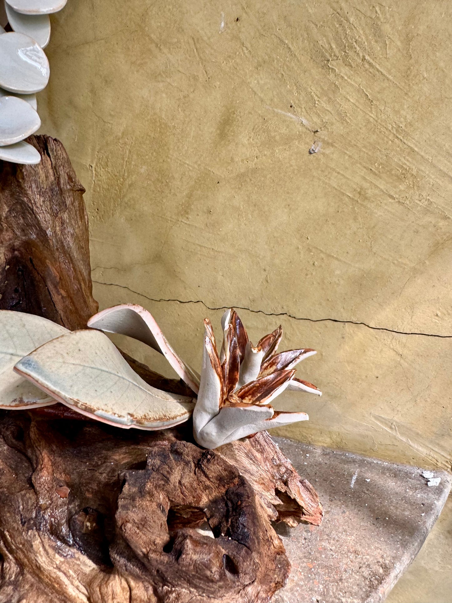 Phalaenopsis & Stargazer Tabletop