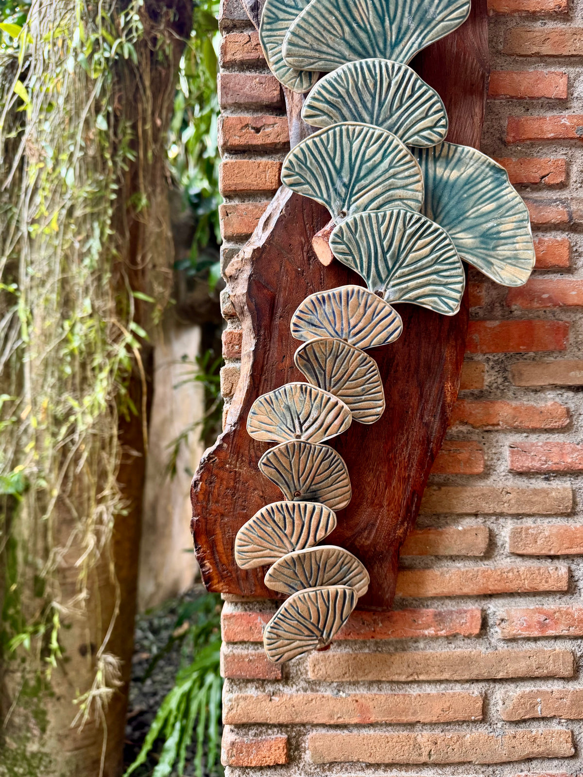 Ginkgo Biloba Wall Hang