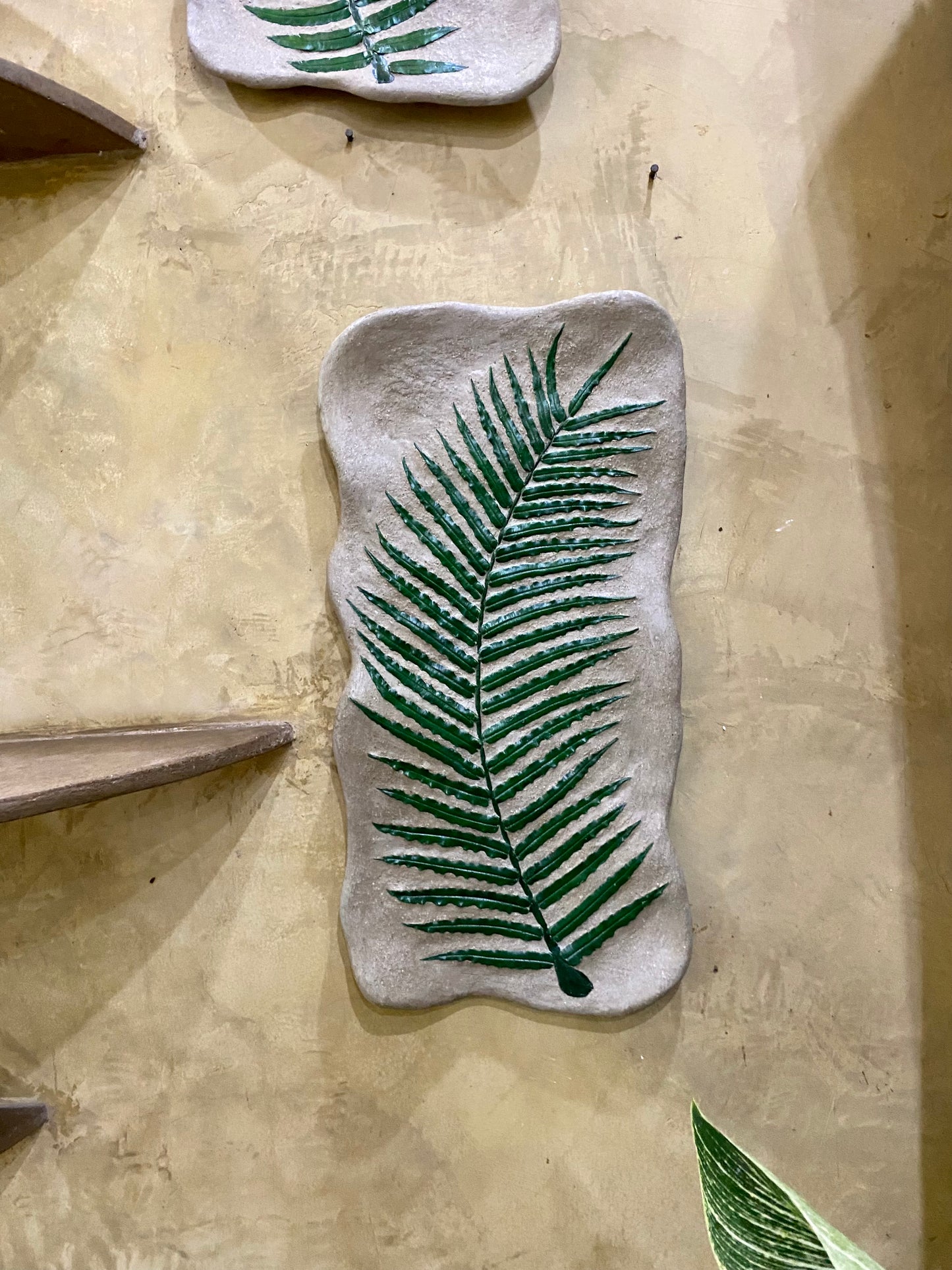 Fossilized Fern Wall Hang