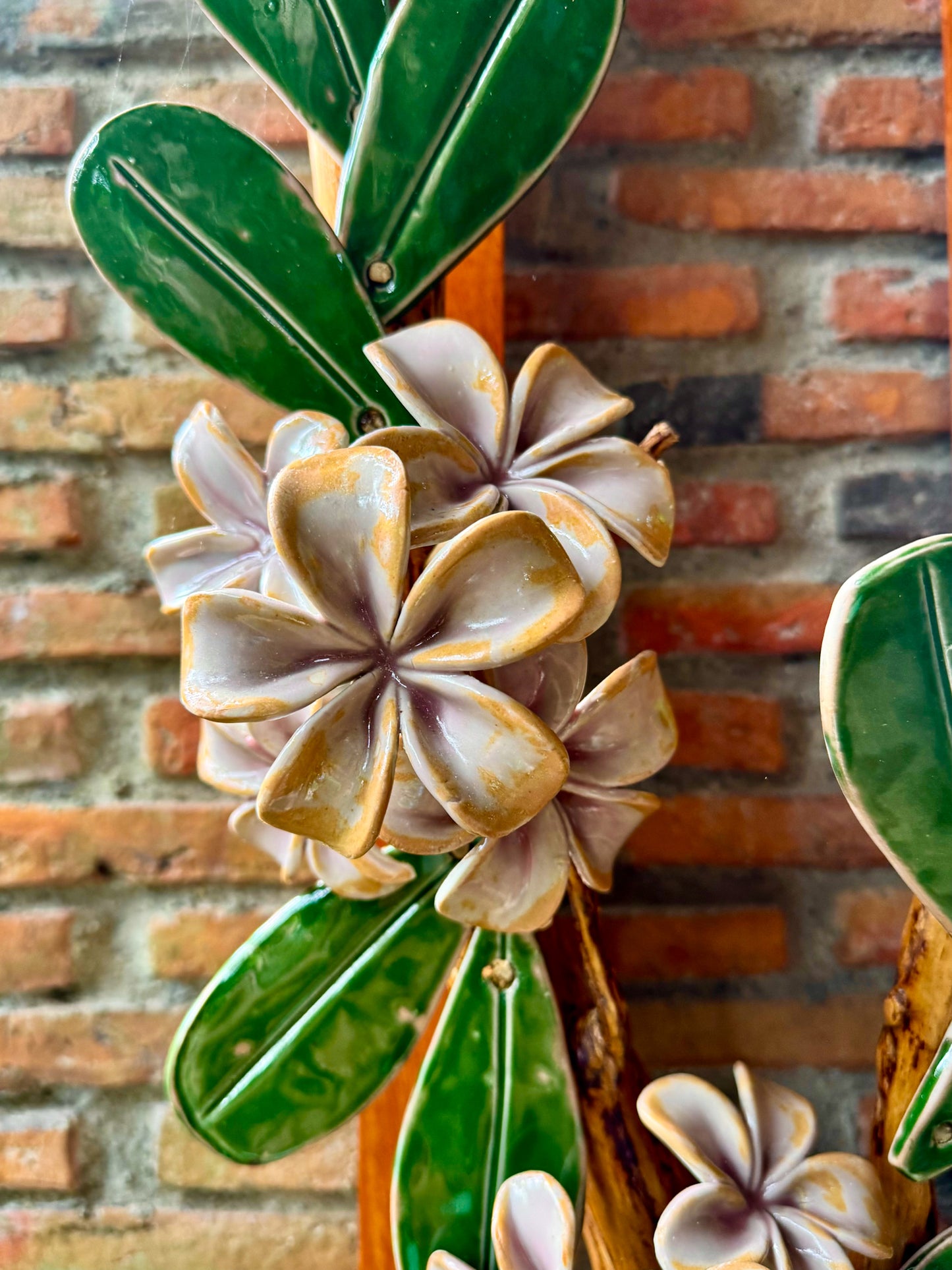 Calachuchi Wall Hang