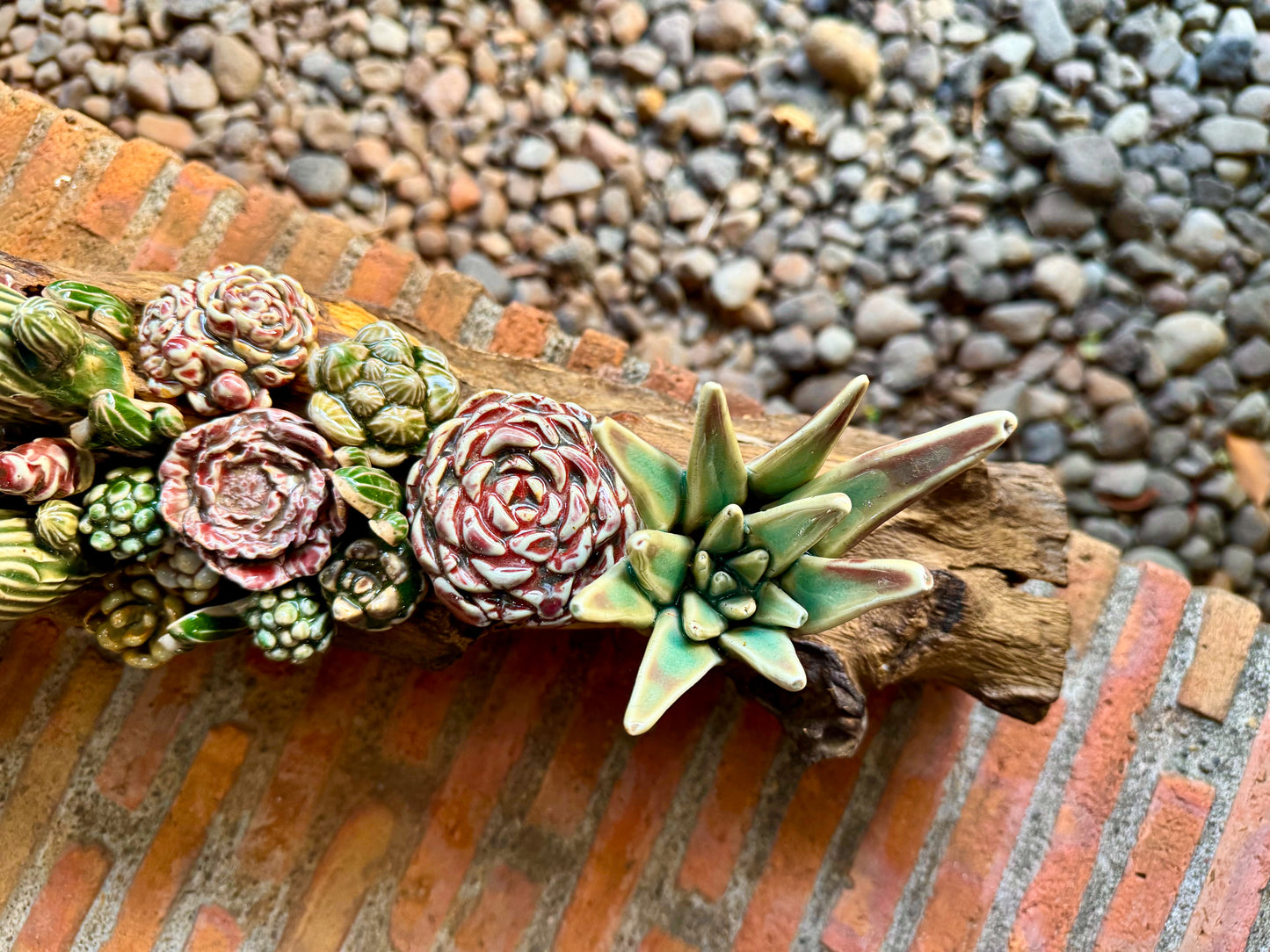 Succulents & Cactus Tabletop