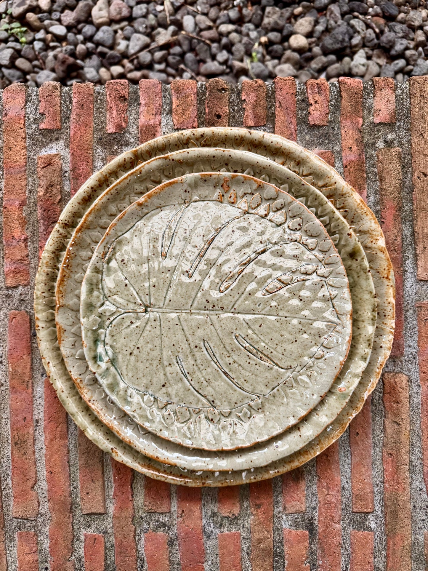 Monstera Plate Medium