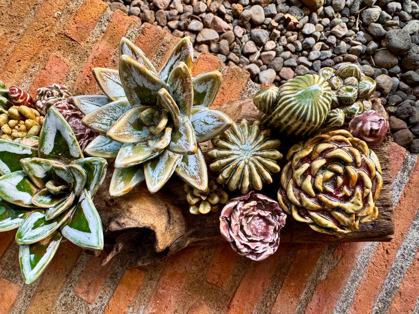 Succulent & Cactus Tabletop