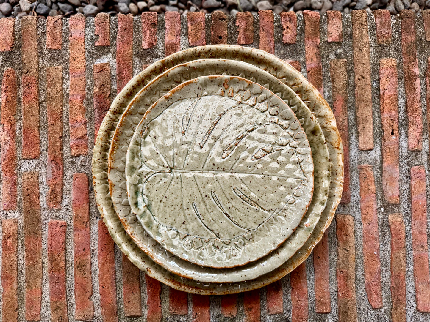 Monstera Plate Small