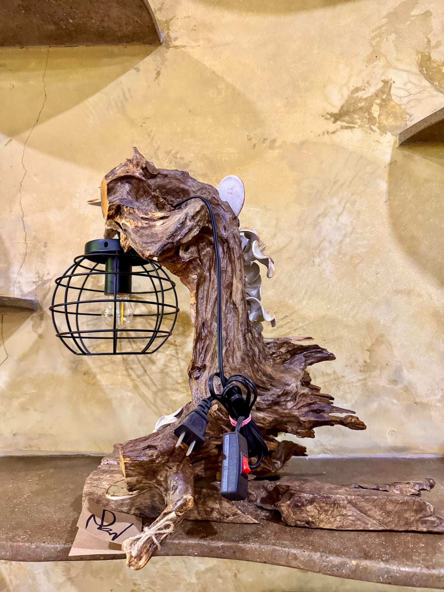 Calachuchi Lamp Tabletop