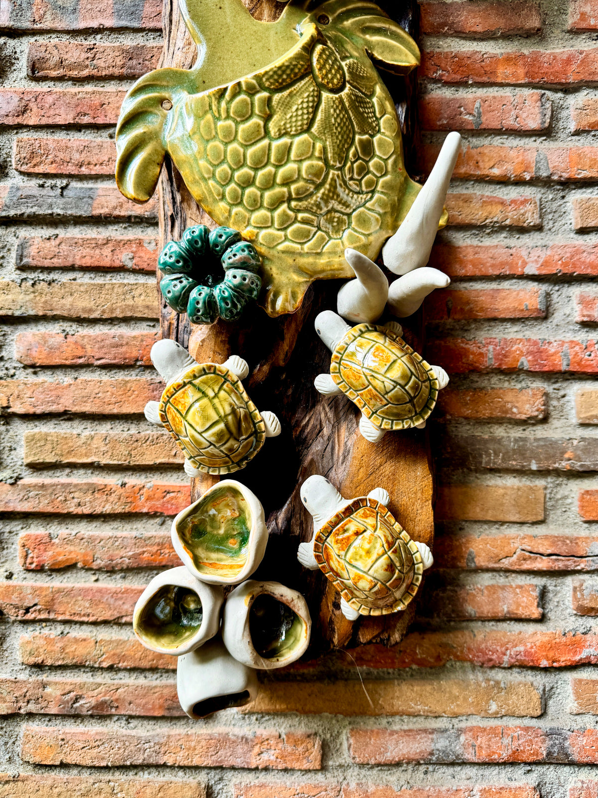 Coral and Pocket Turtle Wall Hang