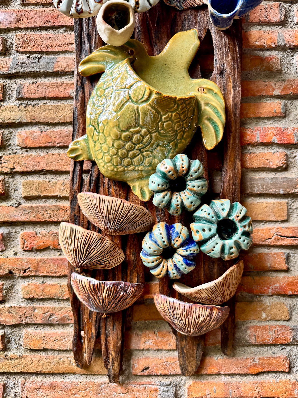 Coral and Pocket Turtle Wall Hang