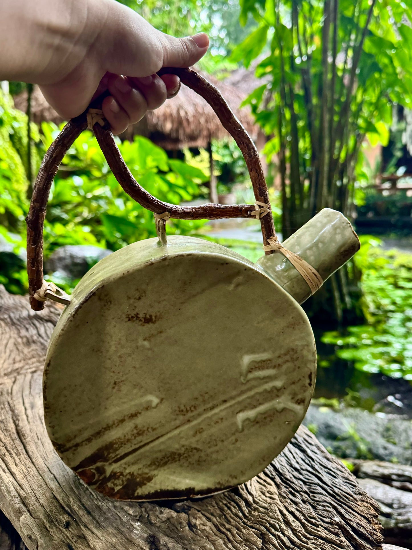 Vase / Jar with Root Handle