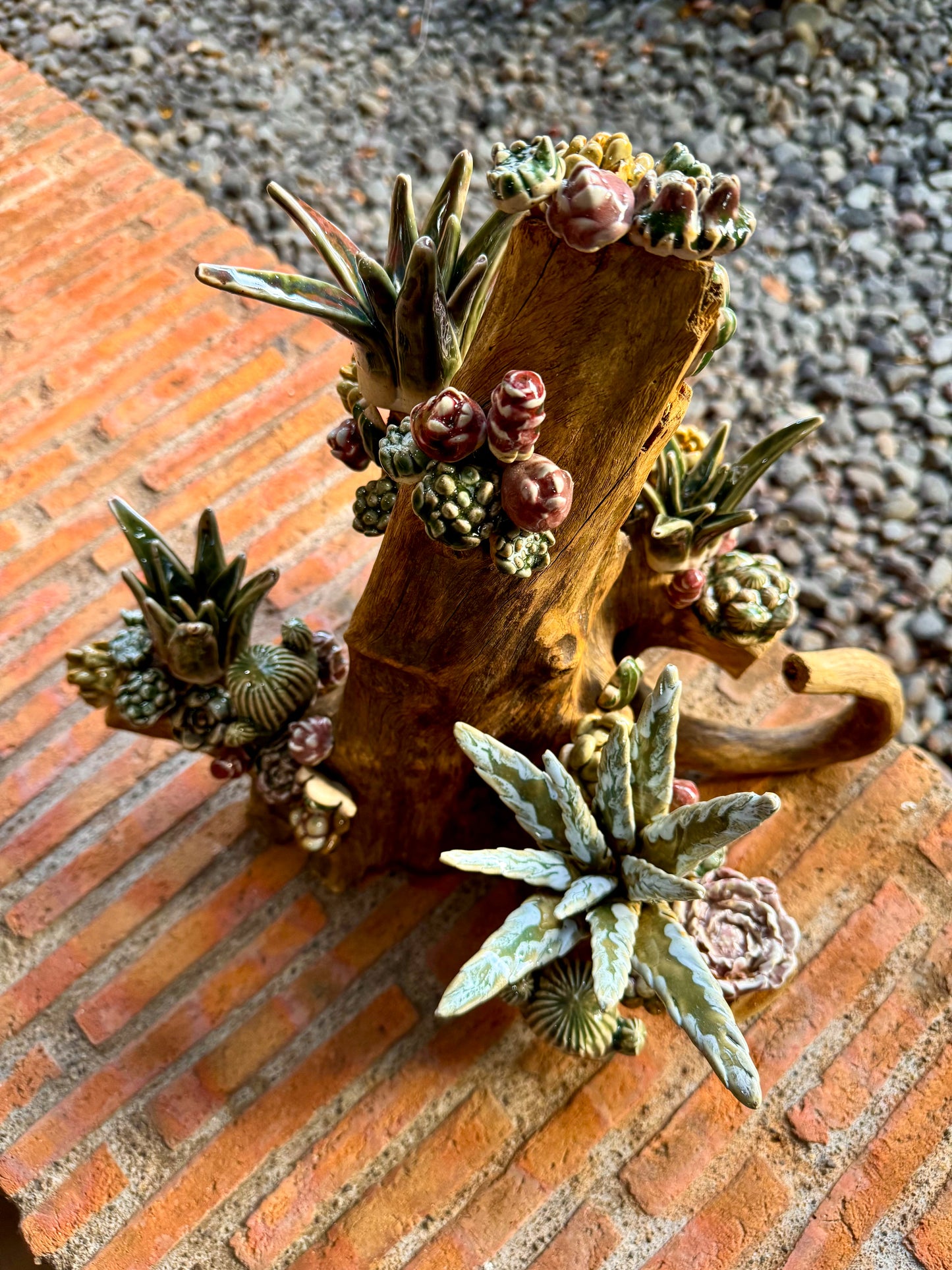Succulents & Cactus Tabletop
