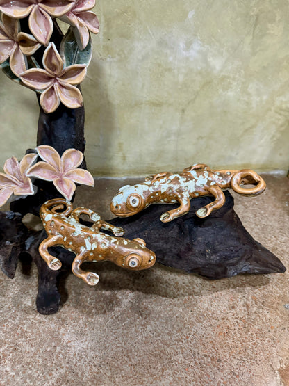 Calachuchi with Tuko Tabletop