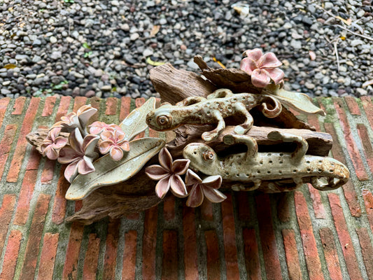 Tuko with Calachuchi Tabletop