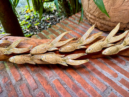 Fish Horizontal Wall Hang