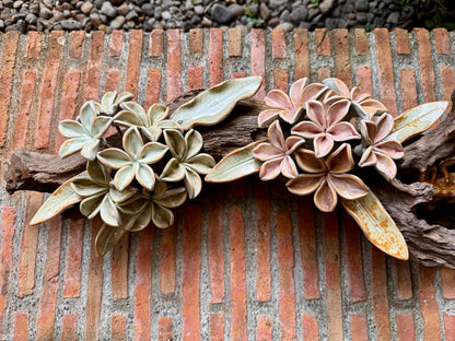 Tuko with Calachuchi Tabletop