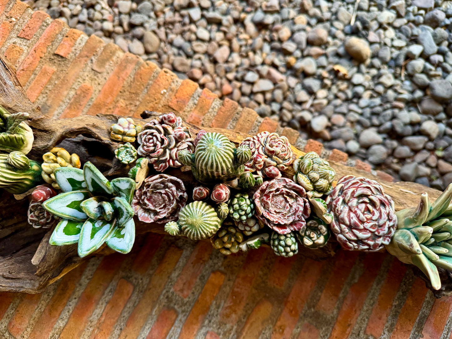Succulents & Cactus Tabletop