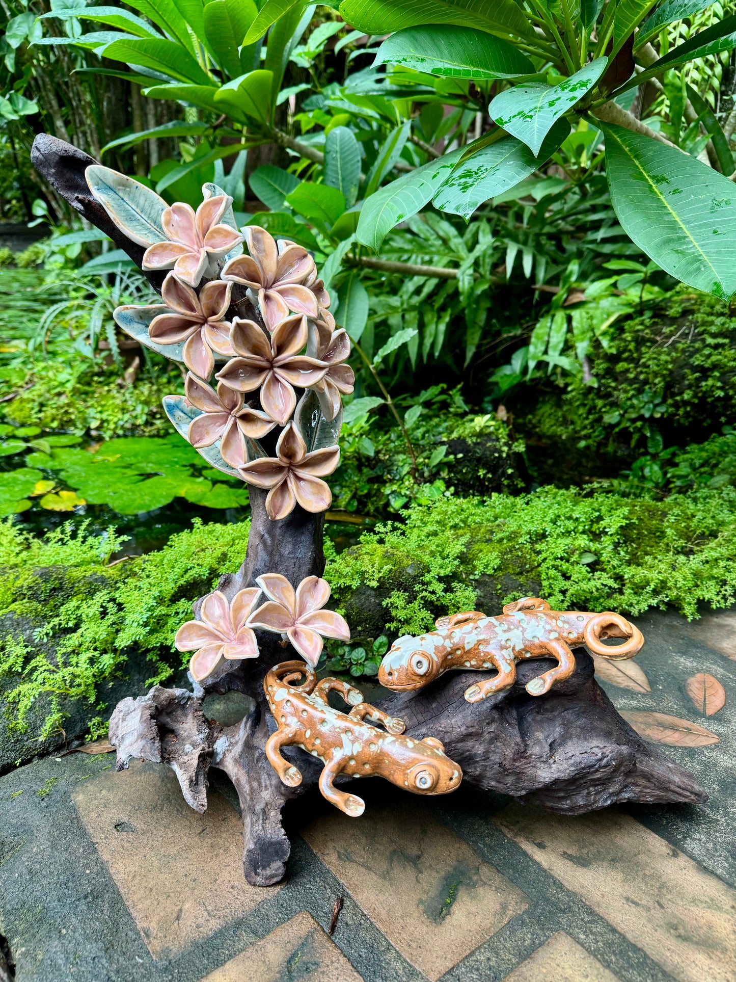 Calachuchi with Tuko Tabletop