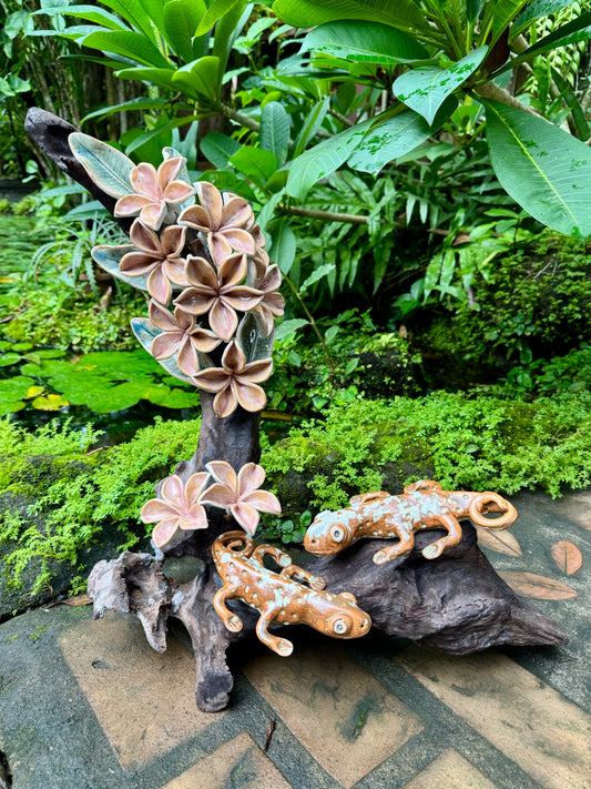 Calachuchi with Tuko Tabletop