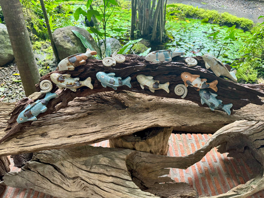 Kois and Mollusks on Driftwood Tabletop