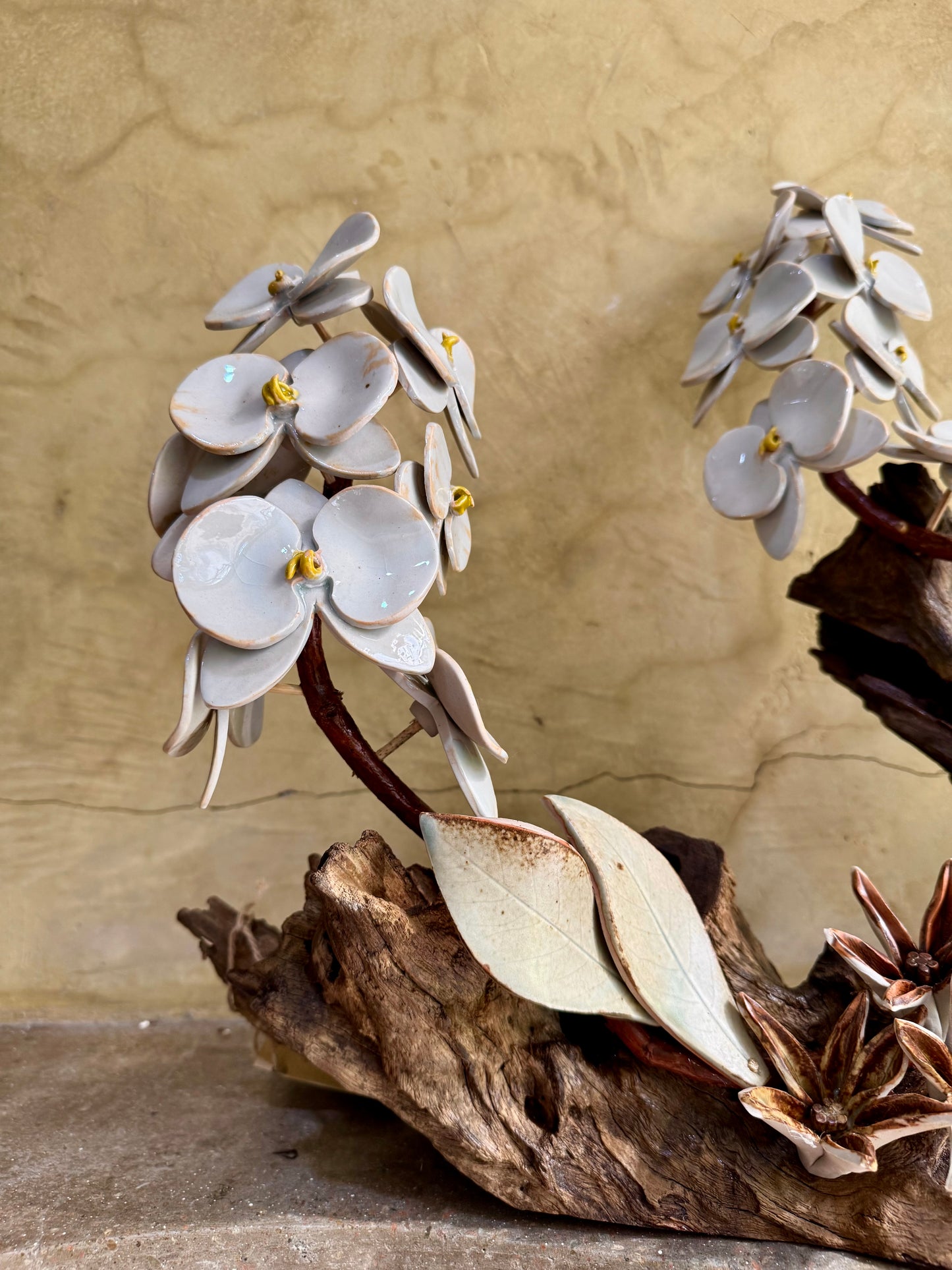 Phalaenopsis & Stargazer Tabletop