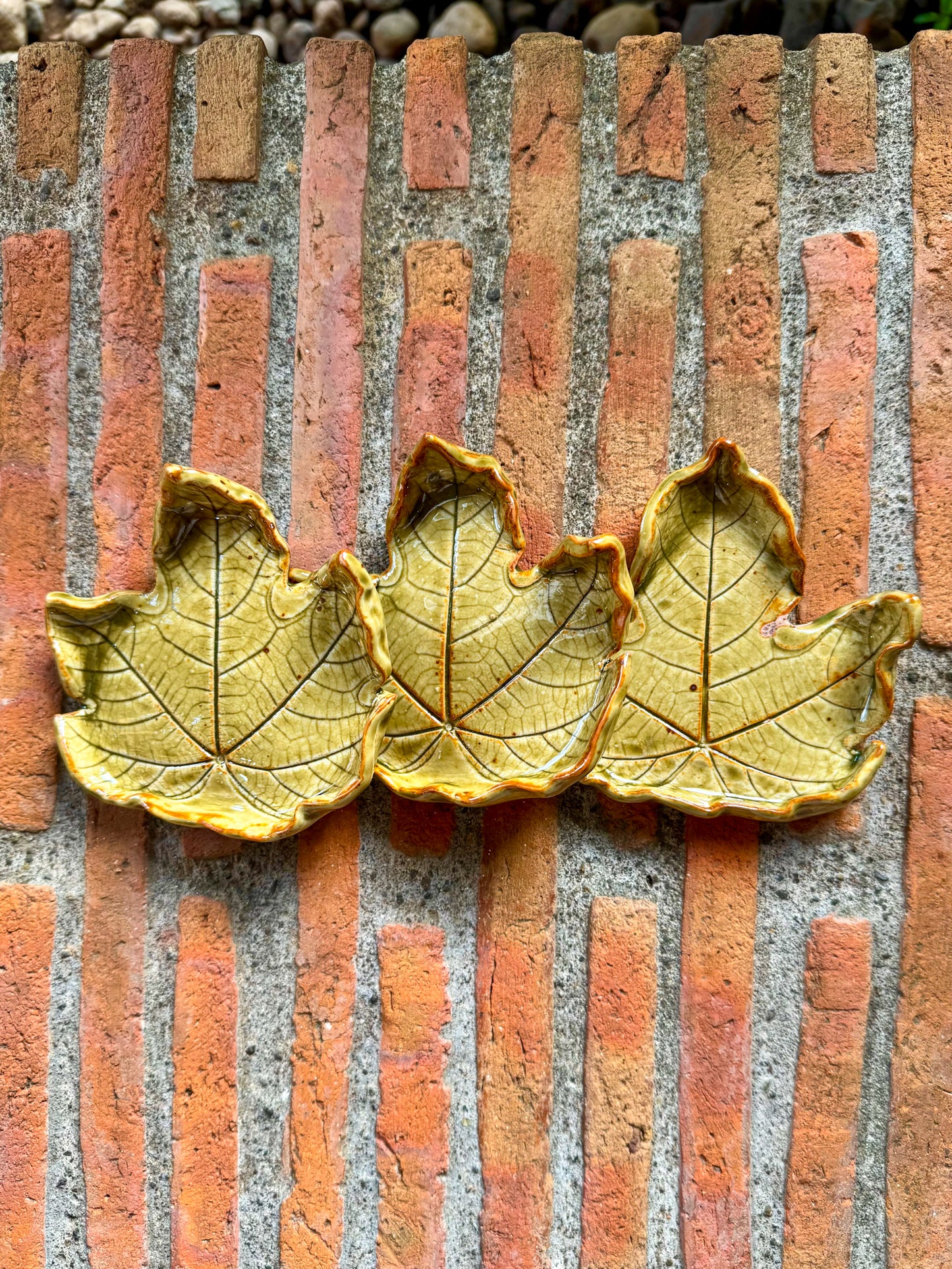 Leaf Plate