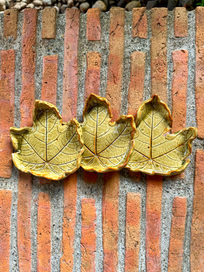 Leaf Plate