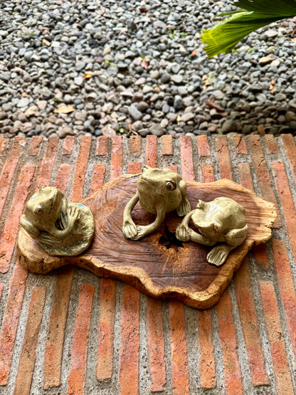Frog Tabletop