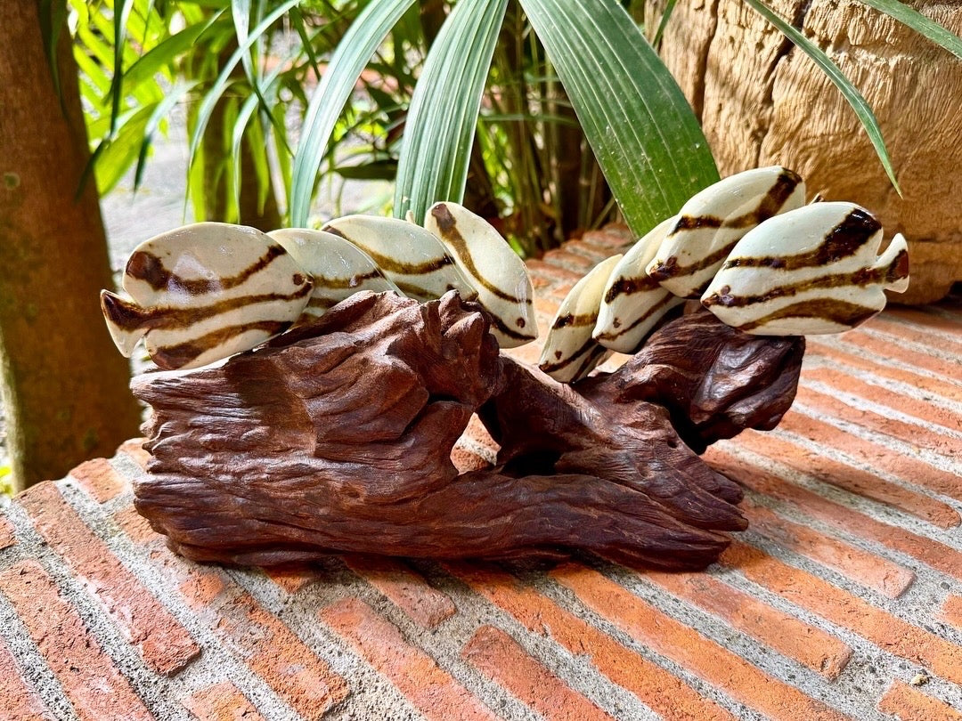 School of Fish Tabletop