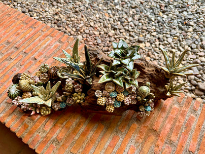 Succulents & Cactus Tabletop