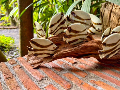 School of Fish Tabletop