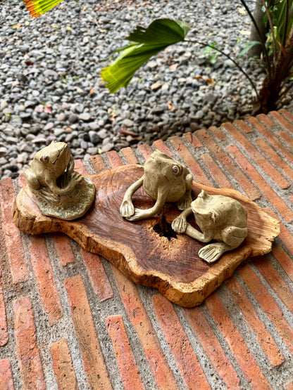 Frog Tabletop