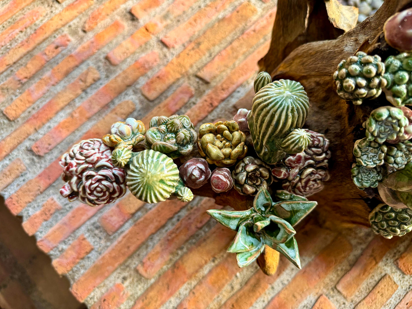 Succulents & Cactus Tabletop