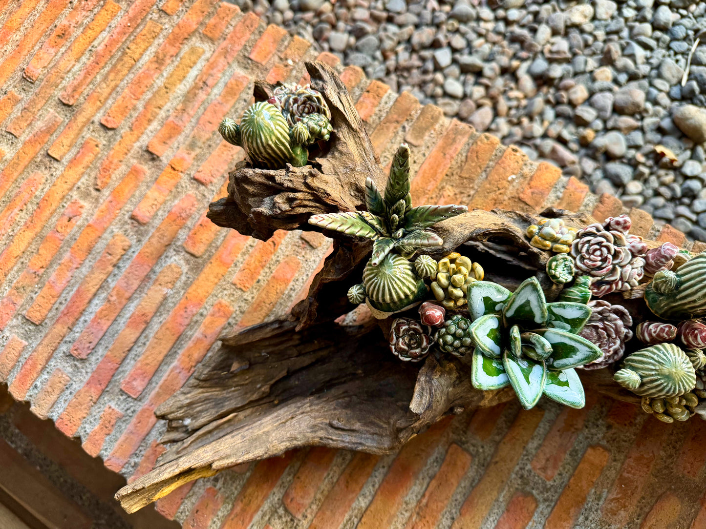 Succulents & Cactus Tabletop