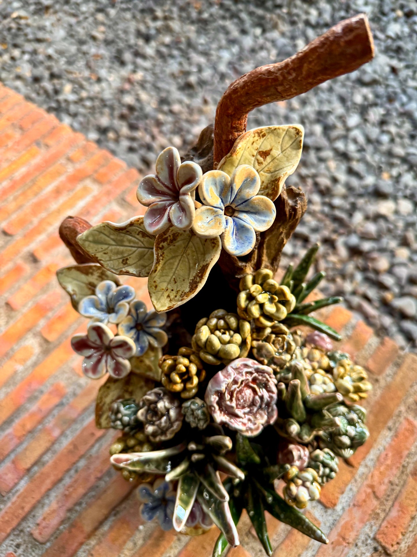 Succulents & Cactus Tabletop