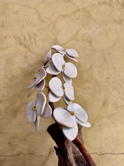 Phalaenopsis & Stargazer Tabletop