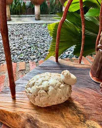 Nativity Tabletop (Mary, Jesus, Joseph, Angel, & 1 Sheep)