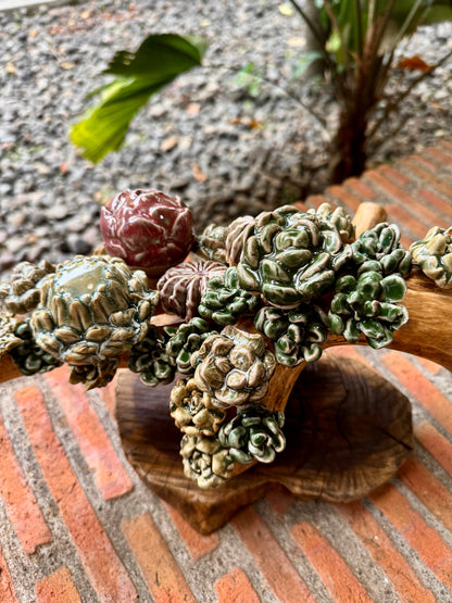 Succulent Tabletop