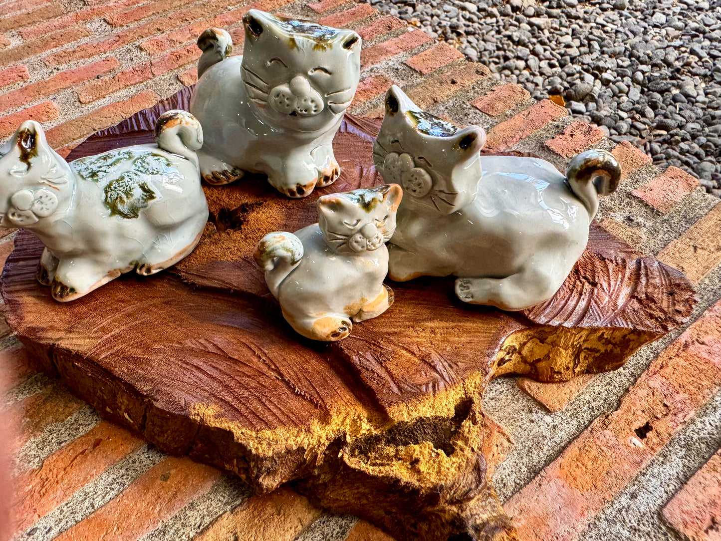 Cats & Kittens Tabletop