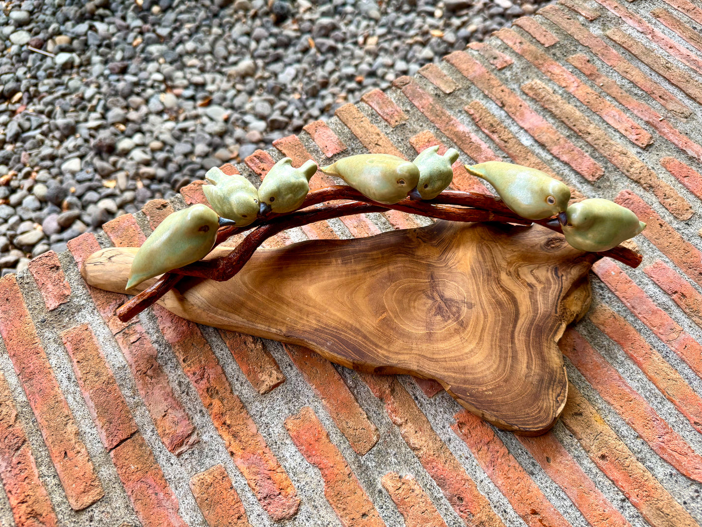 Birds on Teakwood Tabletop