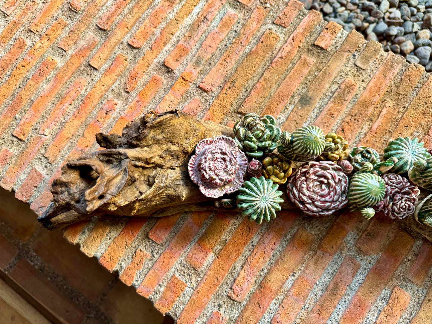 Succulent & Cactus Tabletop