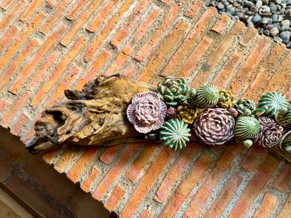 Succulent & Cactus Tabletop