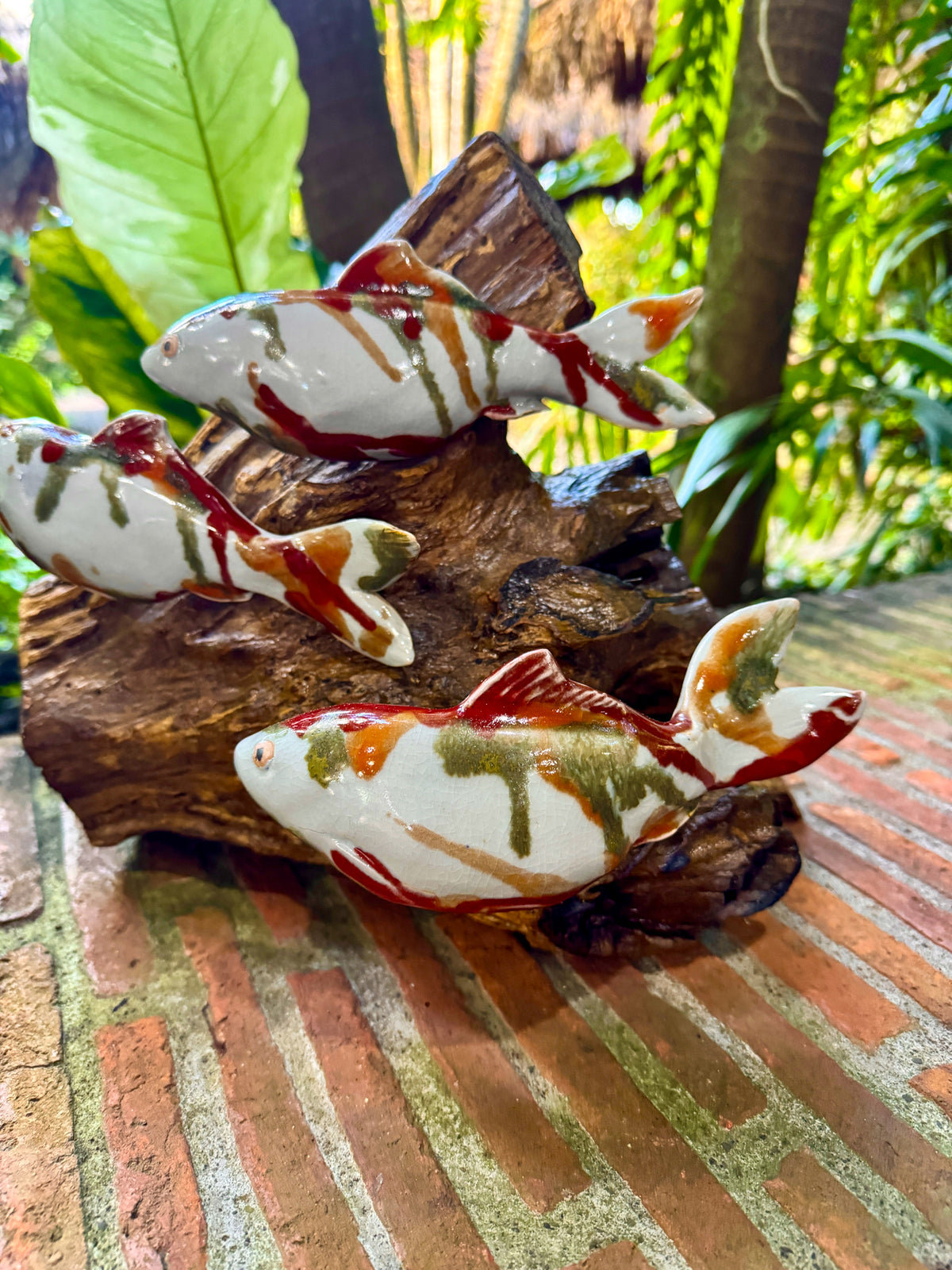 Koi Tabletop