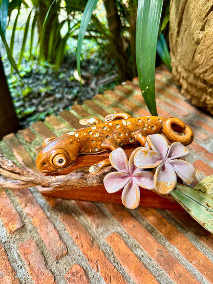 Tuko with Calachuchi Tabletop