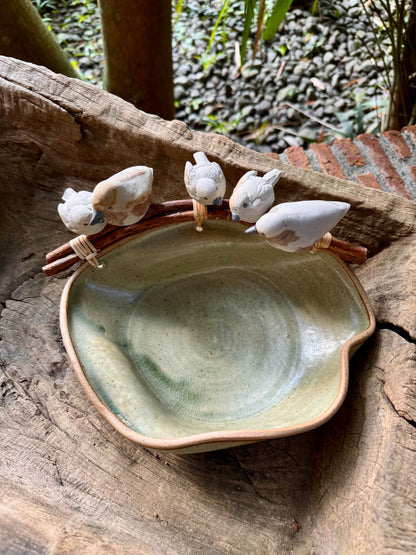 Birds in Roots Bowl