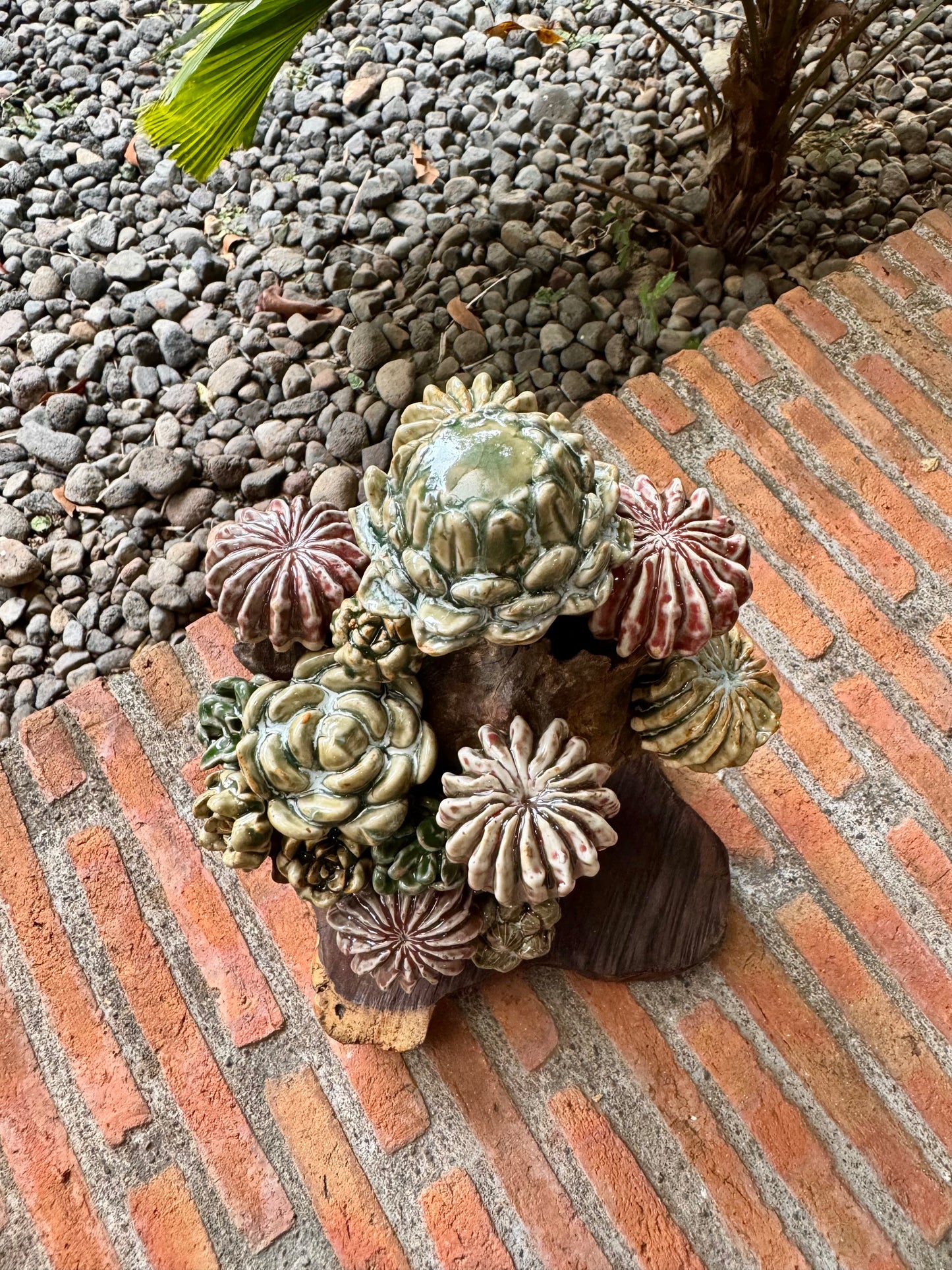 Succulent Tabletop
