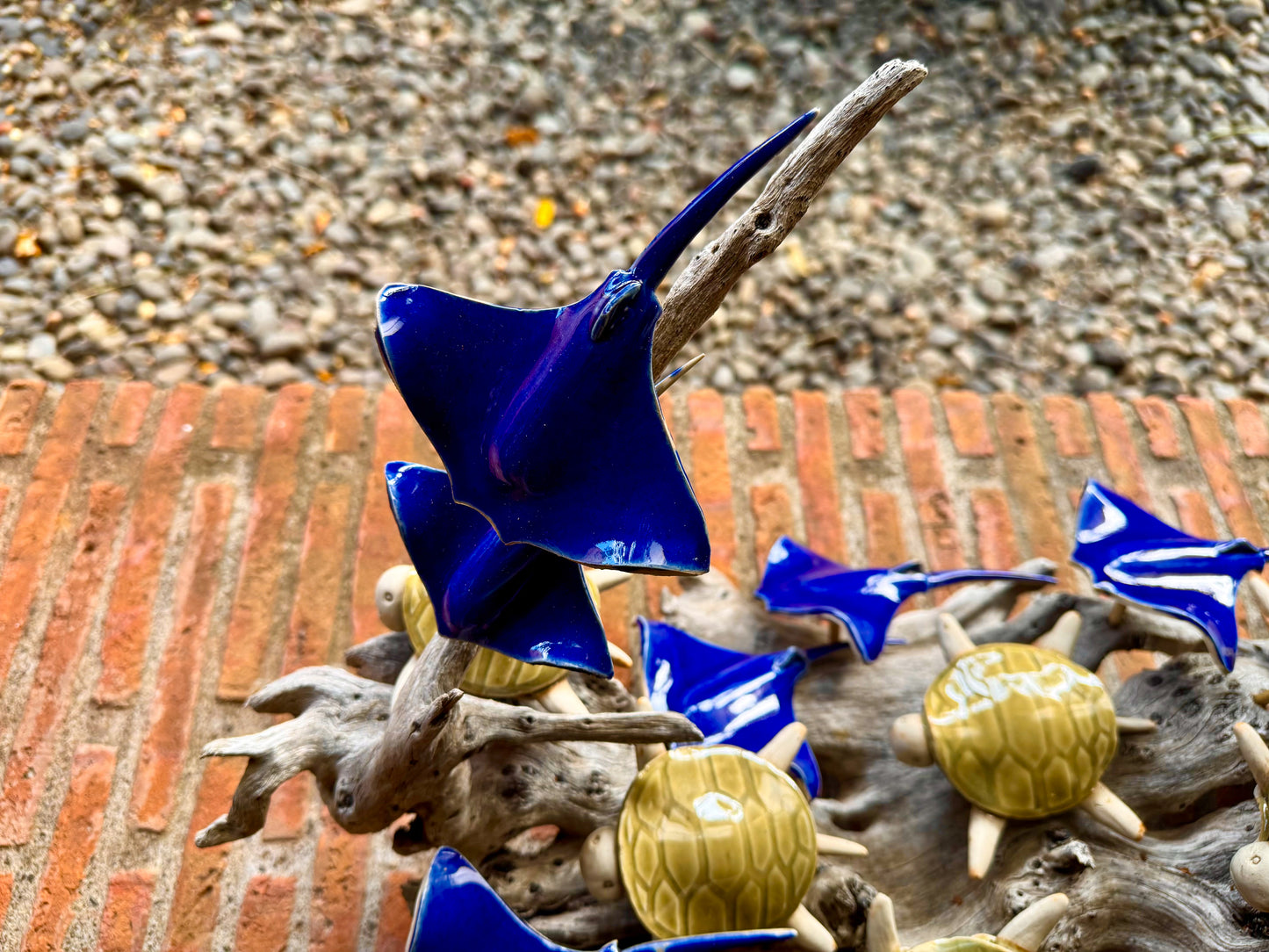 Stingray & Turtles Tabletop