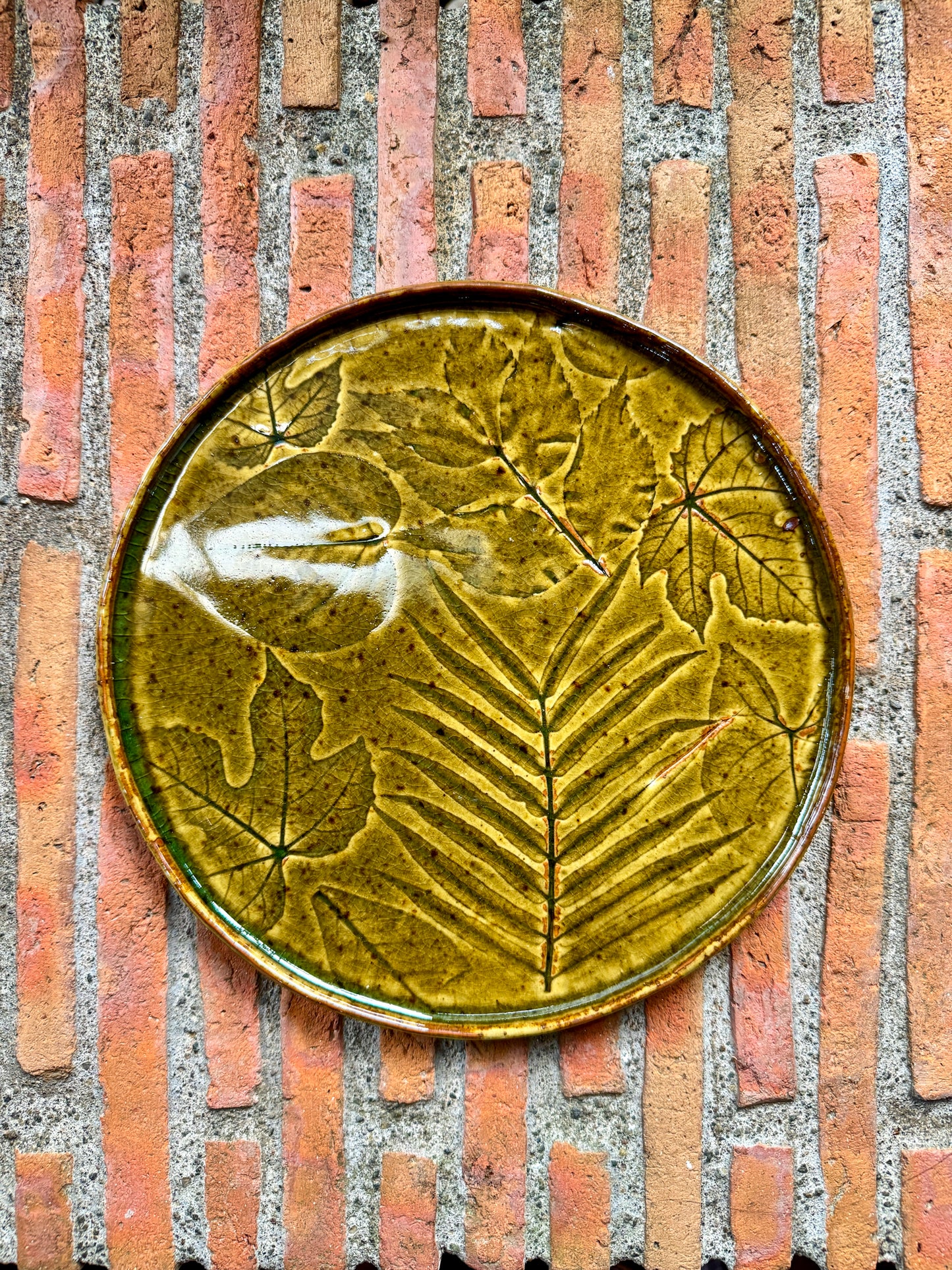 Dinner Plate
