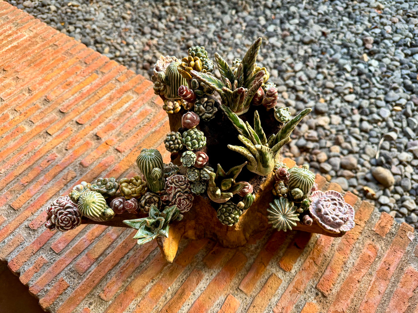 Succulents & Cactus Tabletop