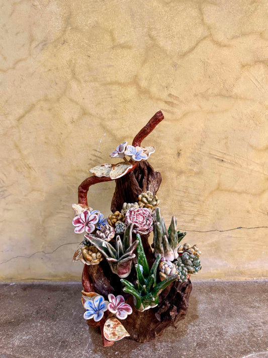 Succulents & Cactus Tabletop