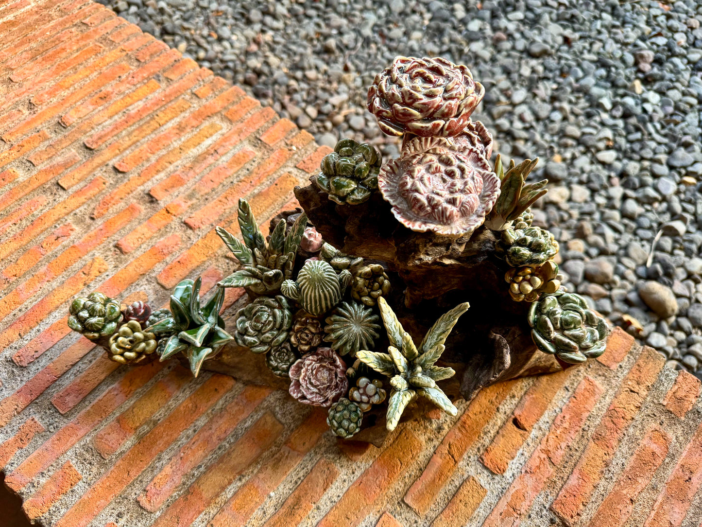 Succulents & Cactus Tabletop