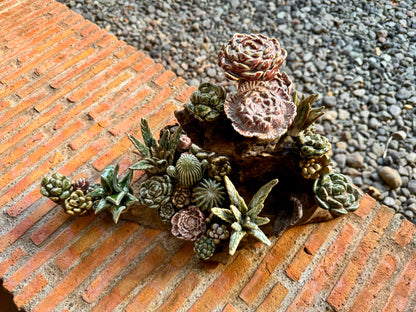 Succulents & Cactus Tabletop
