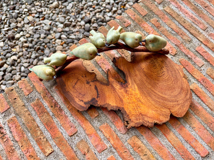 Birds on Teakwood Tabletop